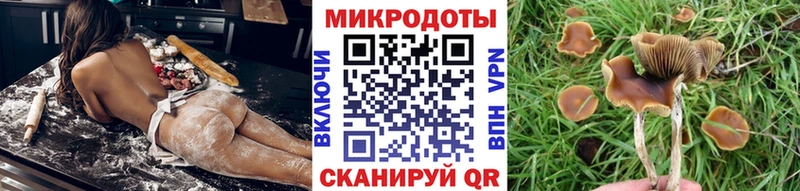 Галлюциногенные грибы мицелий  Купить  Аркадак 